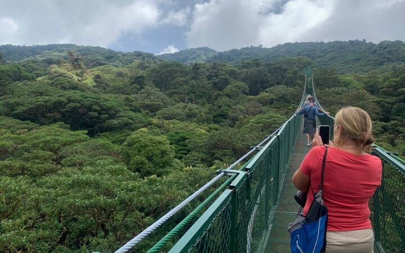 Monteverde Cloud Forest Guided Walk