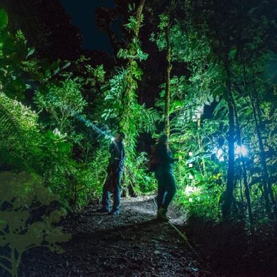 Monteverde Night Walk